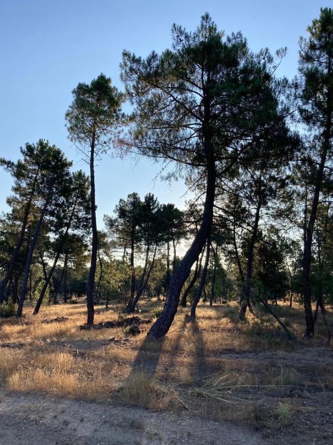 Apartamento Turistico Cerca Aranda De Duero La Ren Lecres Vadocondes Bagian luar foto
